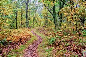 hiking trail