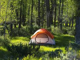 camping spots near me