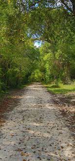 nature trail