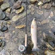 fly fishing