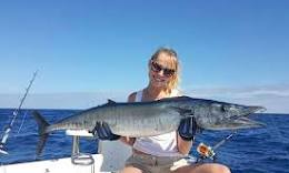 wahoo fish