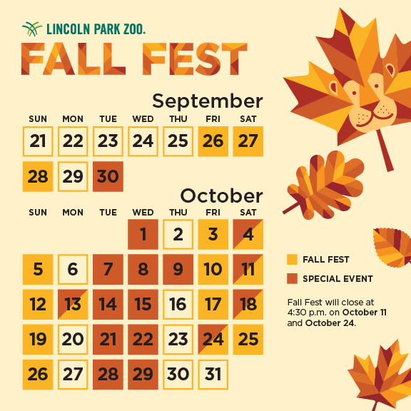 fall festivals near me