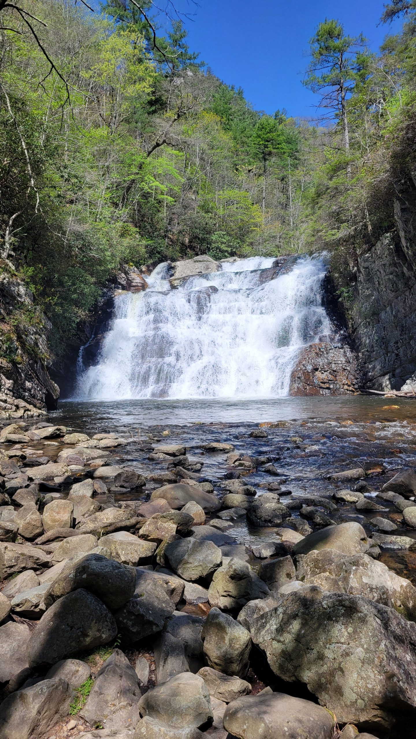 laurel falls