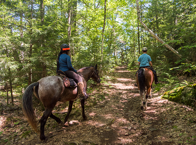 horseback riding trails near me
