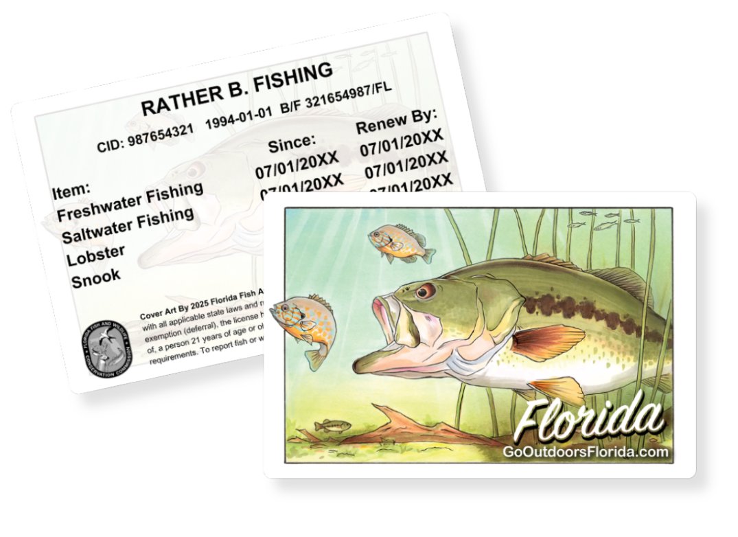 gooutdoorsflorida