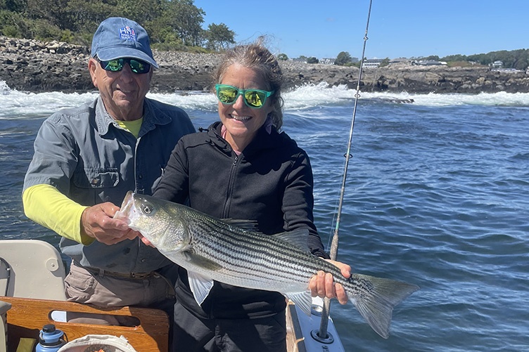 striped bass