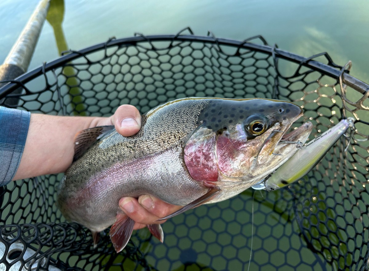 trout fisheries near me
