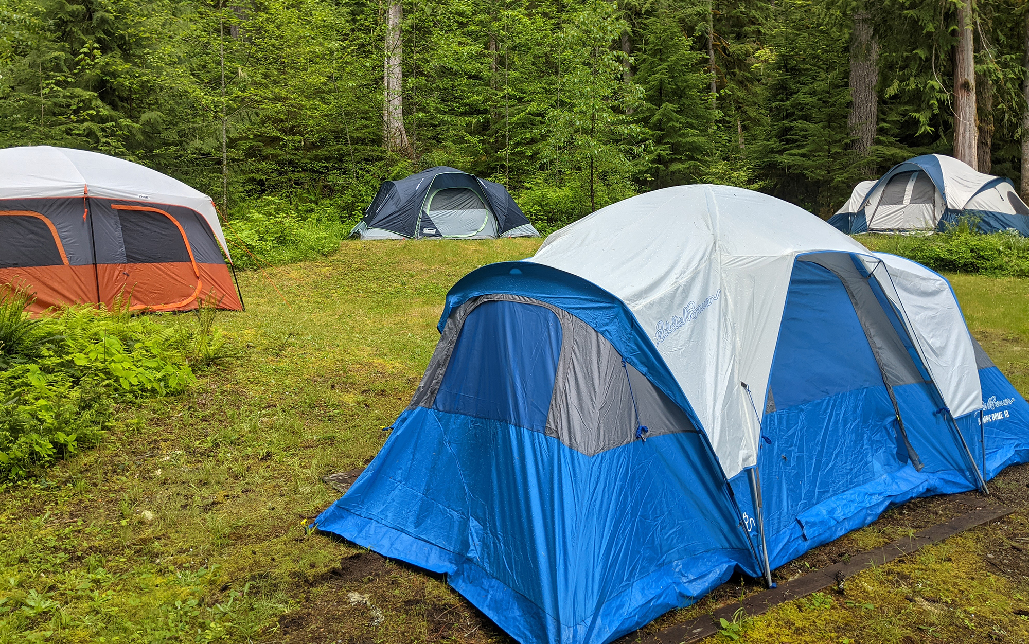 10 person tent