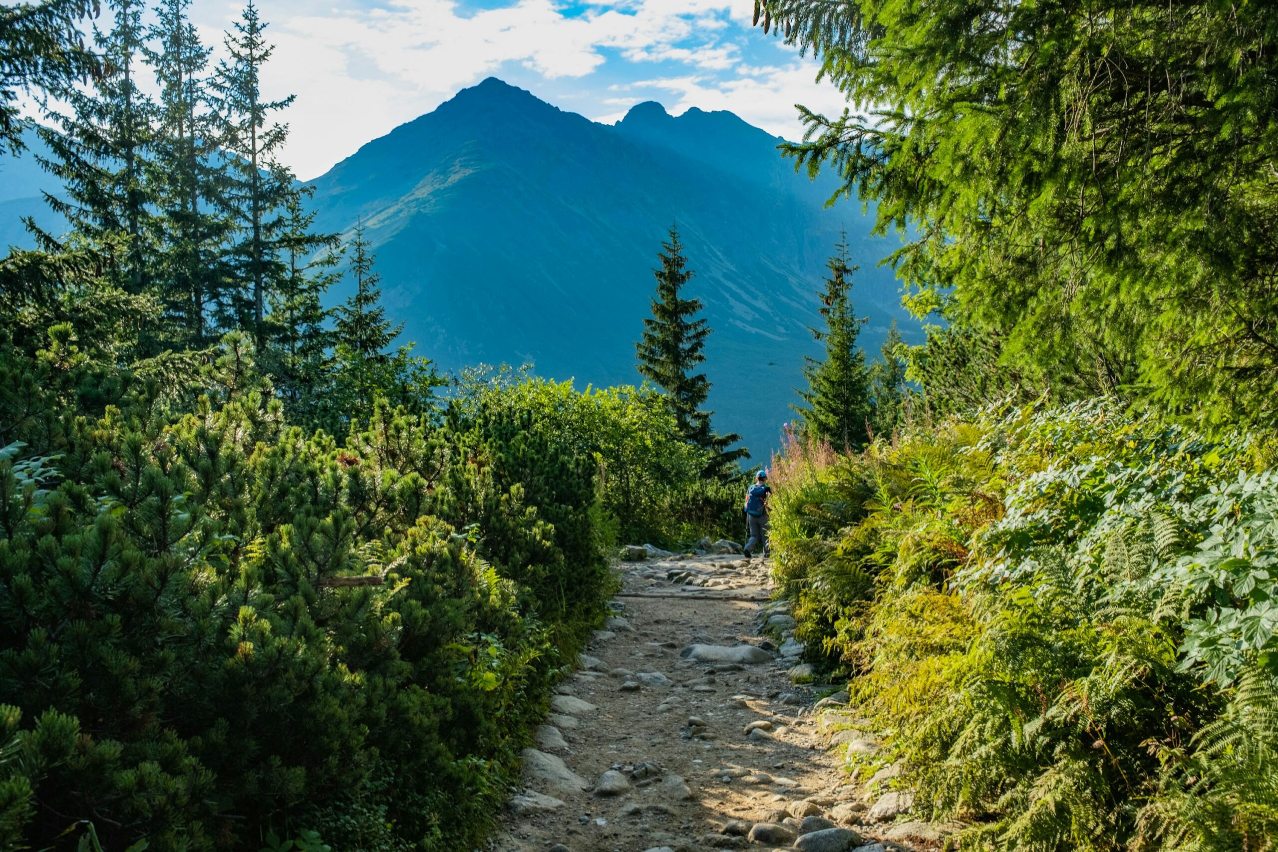 mountain trail
