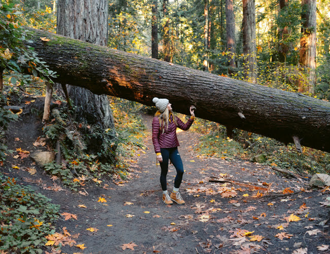 lime kiln trail