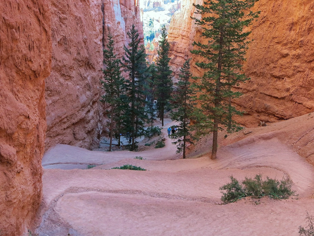 navajo loop trail